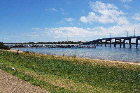 Phillip Island Penguin And Wildlife Tour - Accommodation Redcliffe 4