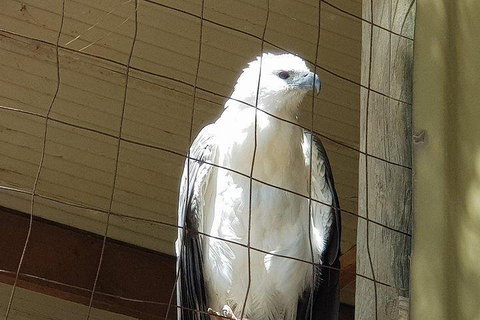 Phillip Island Penguin And Wildlife Tour - Accommodation Redcliffe 5