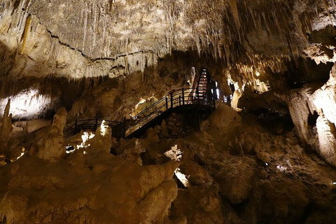 Ngilgi Cave Semi-guided Tour - Accommodation Redcliffe 2