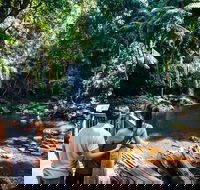 Aquaduck  Your choice of Gold Coast Rainforest Tour - Accommodation Redcliffe