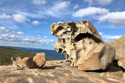 Kangaroo Island 4WD Tour - Best Of KI In 2 Days - Accommodation Redcliffe 5