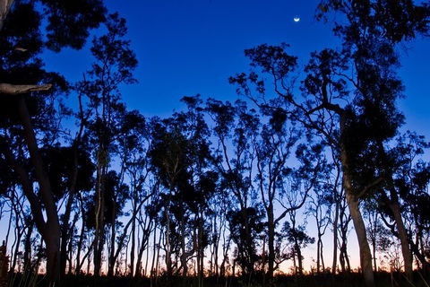 Small-Group Kangaroo Island 4WD Night Tour - Accommodation Redcliffe 2
