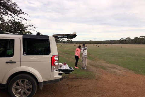 Kangaroo Island 4WD Tour - Flinders Chase - Accommodation Redcliffe 3