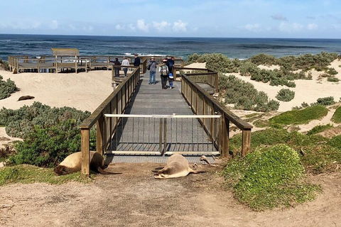 Kangaroo Island 4WD Tour - Best Of KI - Accommodation Redcliffe 2