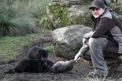 After Dark Tasmanian Devil Feeding Tour At Cradle Mountain - Accommodation Redcliffe 2