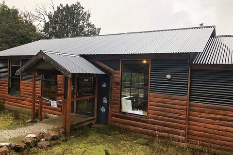After Dark Tasmanian Devil Feeding Tour At Cradle Mountain - Accommodation Redcliffe 3