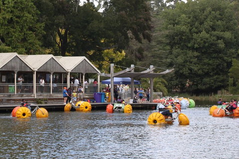Yarra Valley, Dandenong Ranges Inc. Lunch With Wine,plus Morning Tea,chocolate - Accommodation Redcliffe 1