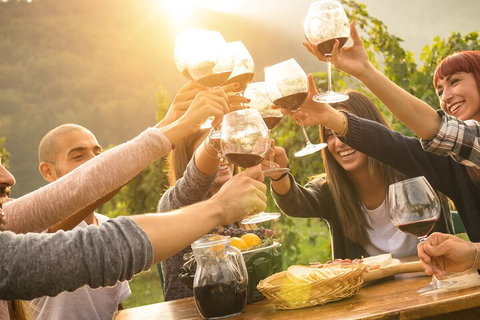 Yarra Valley, Dandenong Ranges Inc. Lunch With Wine,plus Morning Tea,chocolate - Accommodation Redcliffe 4