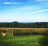 Yarra Valley Private Car Winery Tour And Chocolate.1-7 Passengers One Car Price - Accommodation Redcliffe