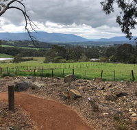 Yarra Valley Wine Tour inc lunch with a glass of wine tastings and chocolate - Accommodation Redcliffe