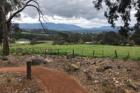 Yarra Valley Wine Tour Inc Lunch With A Glass Of Wine, Tastings And Chocolate - Accommodation Redcliffe 0