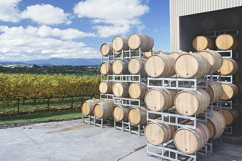 Yarra Valley Wine Tour Inc Lunch With A Glass Of Wine, Tastings And Chocolate - Accommodation Redcliffe 4