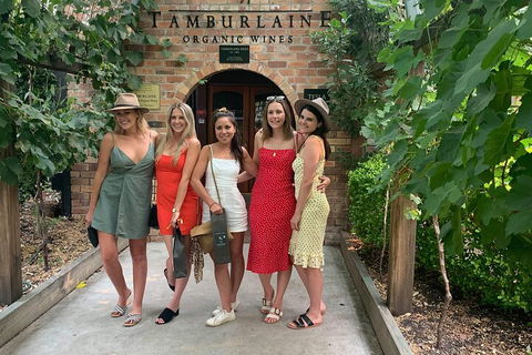 A Full Day Hunter Valley Wine Tasting Tour With Lunch And Tasting Fee's Included - Accommodation Redcliffe 4