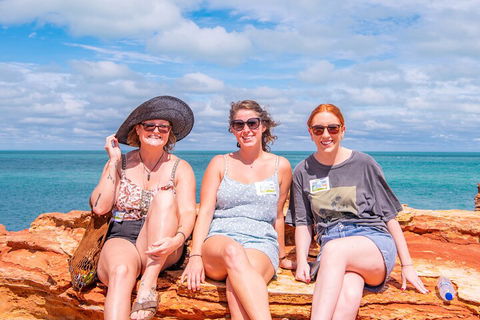 Broome Panoramic Town Tour - All The Extraordinary Sights And History Of Broome - Accommodation Redcliffe 5