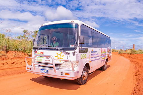 Malcolm Douglas Crocodile Park Tour Including Transportation - Accommodation Redcliffe 3