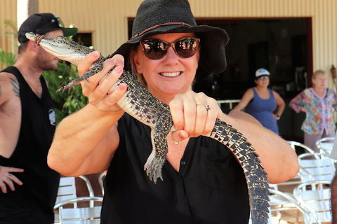 Malcolm Douglas Crocodile Park Tour Including Transportation - Accommodation Redcliffe 4