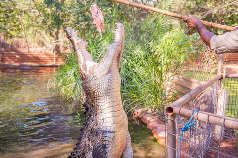 Malcolm Douglas Crocodile Park Tour Including Transportation - Accommodation Redcliffe 5