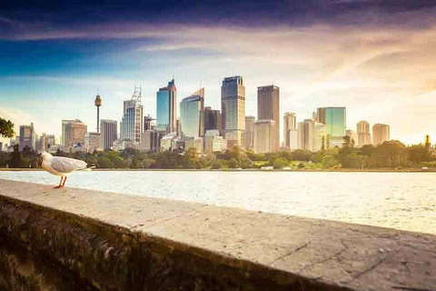 Private Sydney City And Bondi Beach Half Day Tour - Accommodation Redcliffe 2