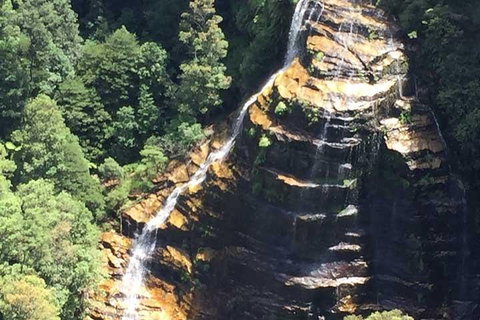 Private Blue Mountains Tour With Kangaroo And Koala Experience - Accommodation Redcliffe 5