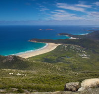 Wilson's Promontory  Phillip Island - 'Prom  Penguins' Tour - Accommodation Redcliffe