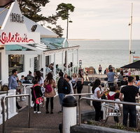 Phillip Island and French Island Wildlife Expedition - Accommodation Redcliffe