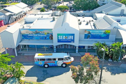 Aquaduck Sunshine Coast - Accommodation Redcliffe 3