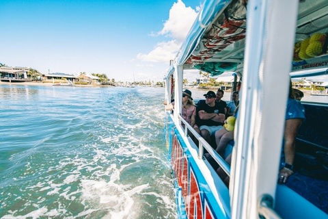 Aquaduck Sunshine Coast - Accommodation Redcliffe 5