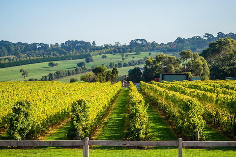 Private Tours From Melbourne - Accommodation Redcliffe 1
