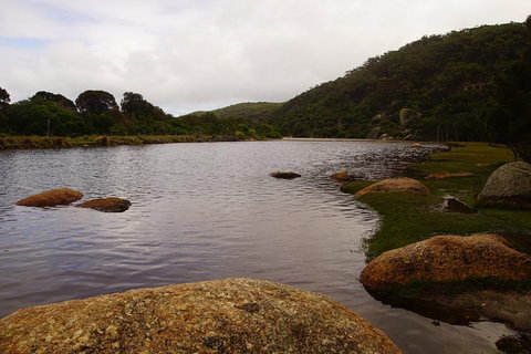 Private Tours From Melbourne - Accommodation Redcliffe 2