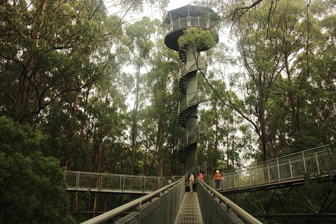 Private Tours From Melbourne - Accommodation Redcliffe 5