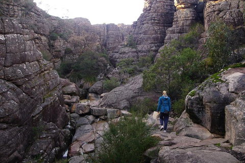 Private Grampians Day Tour - Accommodation Redcliffe 3