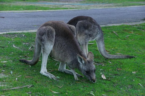 Private Grampians Day Tour - Accommodation Redcliffe 5