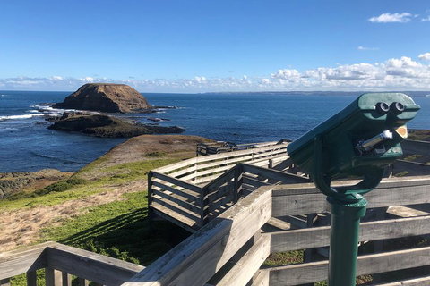 Private Phillip Island Tour - Accommodation Redcliffe 4