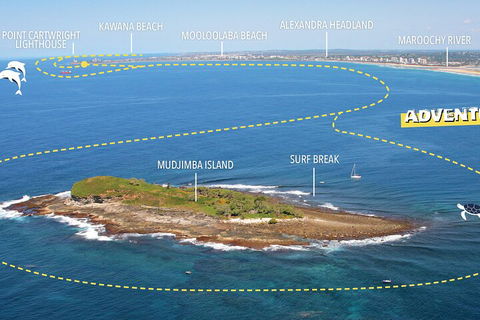 1.5HR Mudjimba Island Wildlife Safari - Accommodation Redcliffe 1