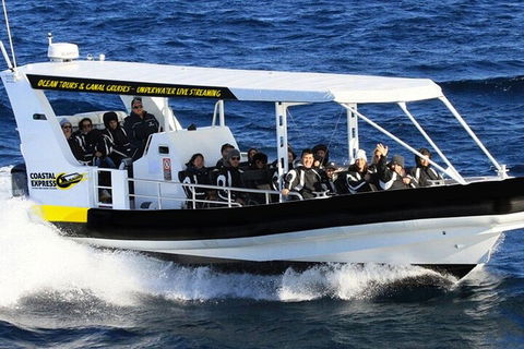 1.5HR Mudjimba Island Wildlife Safari - Accommodation Redcliffe 2