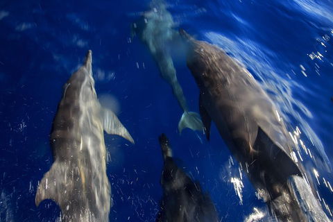 1.5HR Mudjimba Island Wildlife Safari - Accommodation Redcliffe 3