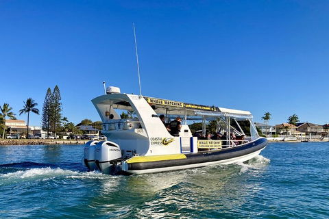 1.5HR Mudjimba Island Wildlife Safari - Accommodation Redcliffe 4