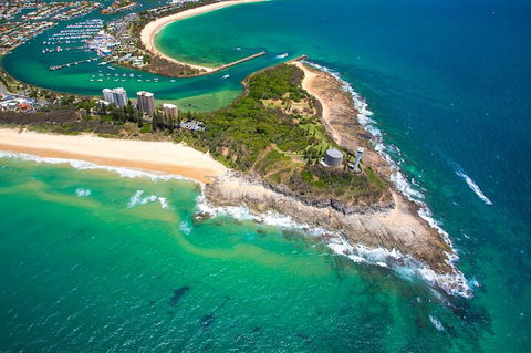 1.5HR Mudjimba Island Wildlife Safari - Accommodation Redcliffe 5
