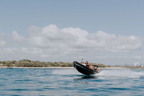 Adventure Rafting - Accommodation Redcliffe 3