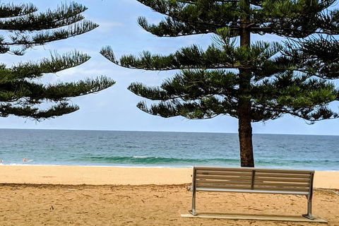 Manly & Sydney's Northern Beaches With 'Personalised Sydney Tours' - Accommodation Redcliffe 0