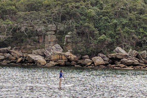 Manly & Sydney's Northern Beaches With 'Personalised Sydney Tours' - Accommodation Redcliffe 3
