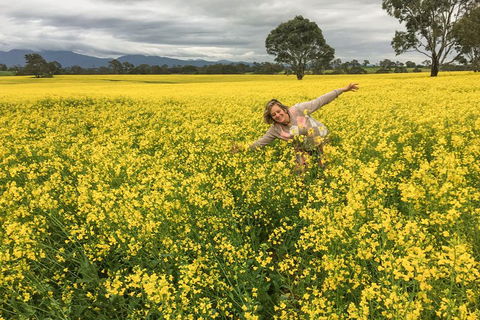 Grampians - Private Tour - Accommodation Redcliffe 3