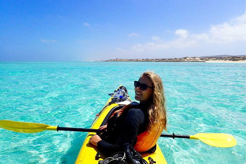 Lagoon Explorer - Ningaloo Reef Full-Day Kayaking And Snorkeling Adventure - Accommodation Redcliffe 1