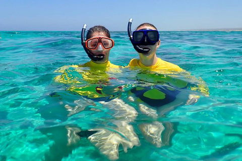 Lagoon Explorer - Ningaloo Reef Full-Day Kayaking And Snorkeling Adventure - Accommodation Redcliffe 4
