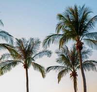 Darwin City Sightseeing Tour - Accommodation Redcliffe