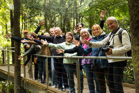 All Inclusive Blue Mountains Small-Group Day Trip From Sydney - Accommodation Redcliffe 5