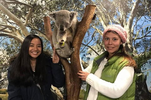 Australia Multi-City Attractions Pass - Accommodation Redcliffe 3