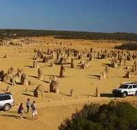 1-Day Pinnacles and Yanchep Tour from Perth including Fish and Chips Lunch - Accommodation Redcliffe