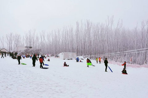Private Mount Buller Snow And Ski Tour From Melbourne - Accommodation Redcliffe 1