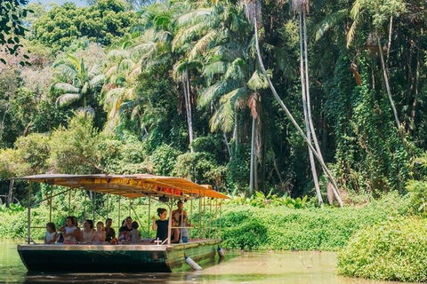 Tropical Fruit World Farm Full Tour - Accommodation Redcliffe 0